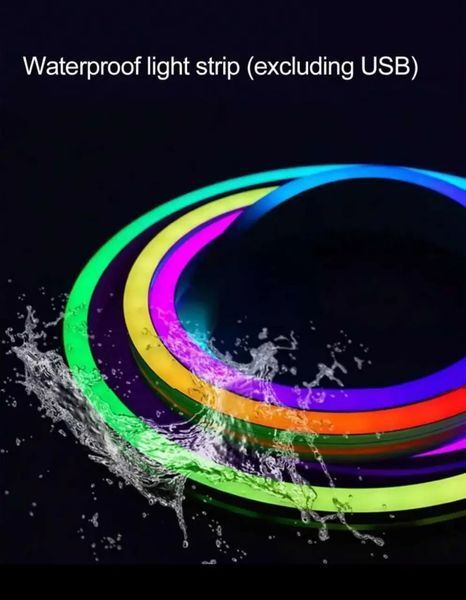 Розумна Неонова LED Стрічка RGBIC 5м (Dream Color) з Bluetooth та Пультом | Гнучкий Неон від USB 5V 2597181699 фото