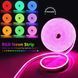 Розумна Неонова LED Стрічка RGBIC 5м (Dream Color) з Bluetooth та Пультом | Гнучкий Неон від USB 5V 2597181699 фото 5