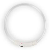 Неоновий LED-нашийник для собак з підсвіткою та USB зарядкою S (35 см) 2411752842 фото